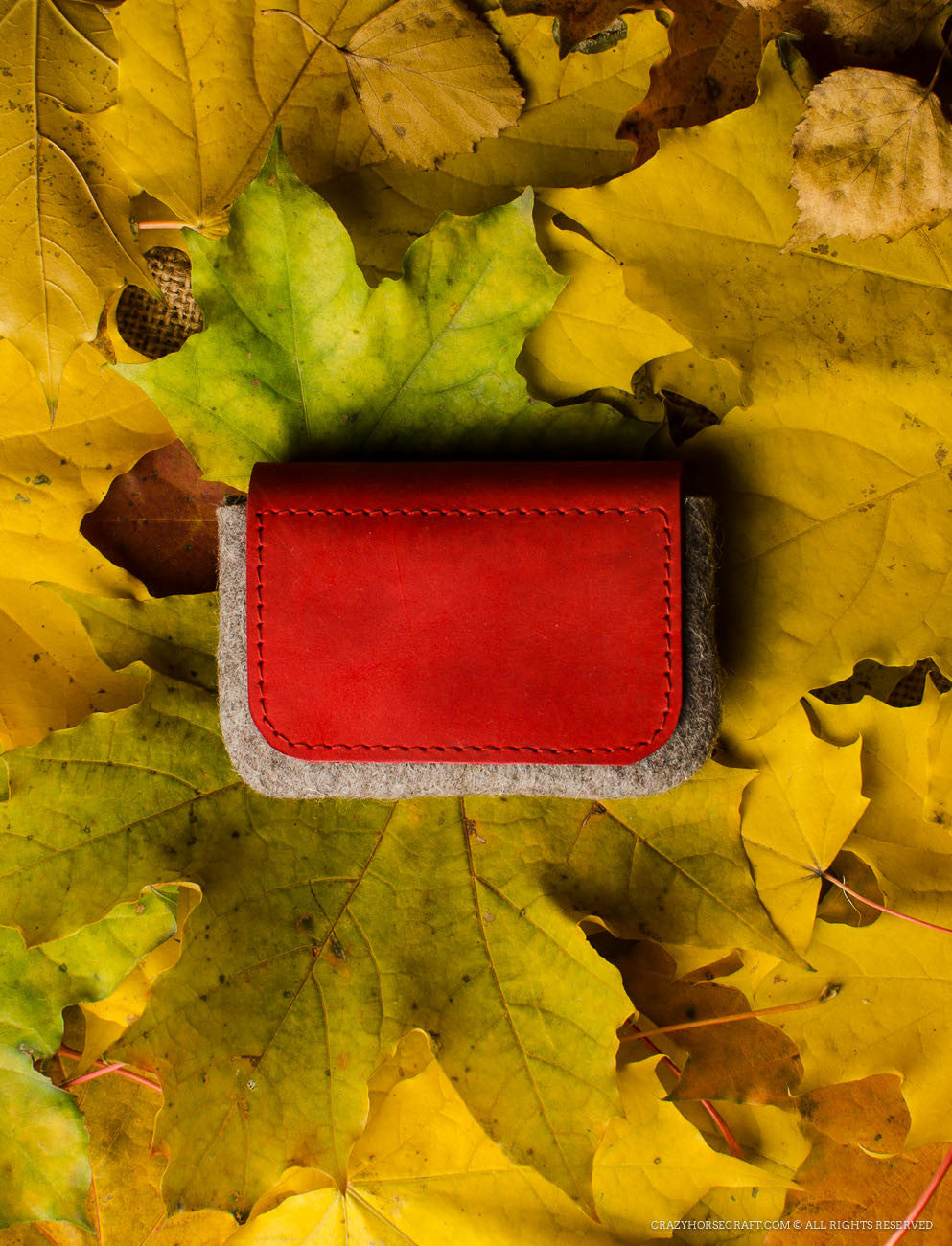 Wool Felt Cardholder & Coin Purse | Autumn Red