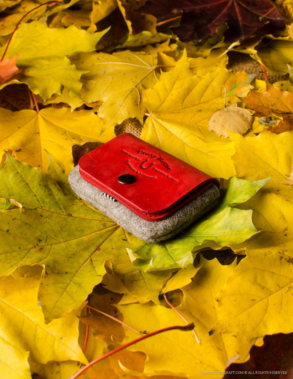 Wool Felt Cardholder & Coin Purse | Autumn Red